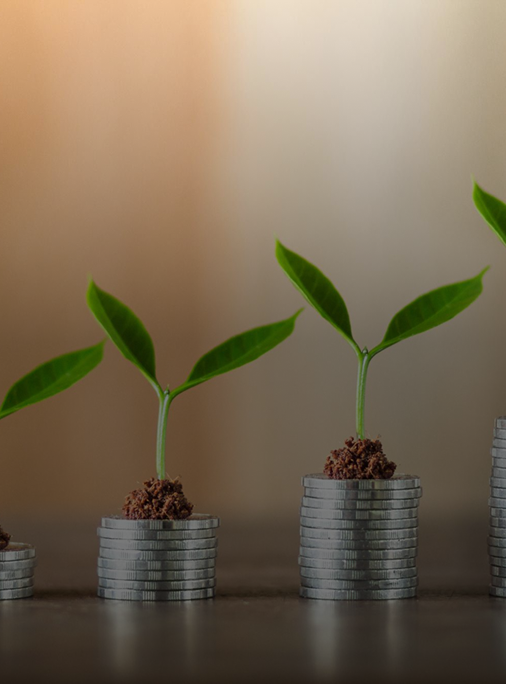 Investment Incentives